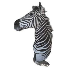 Zebra Mount Taxidermy 3