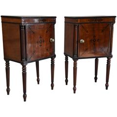Elegant Pair of Excellent Quality Regency Mahogany Bedside Cabinets 6