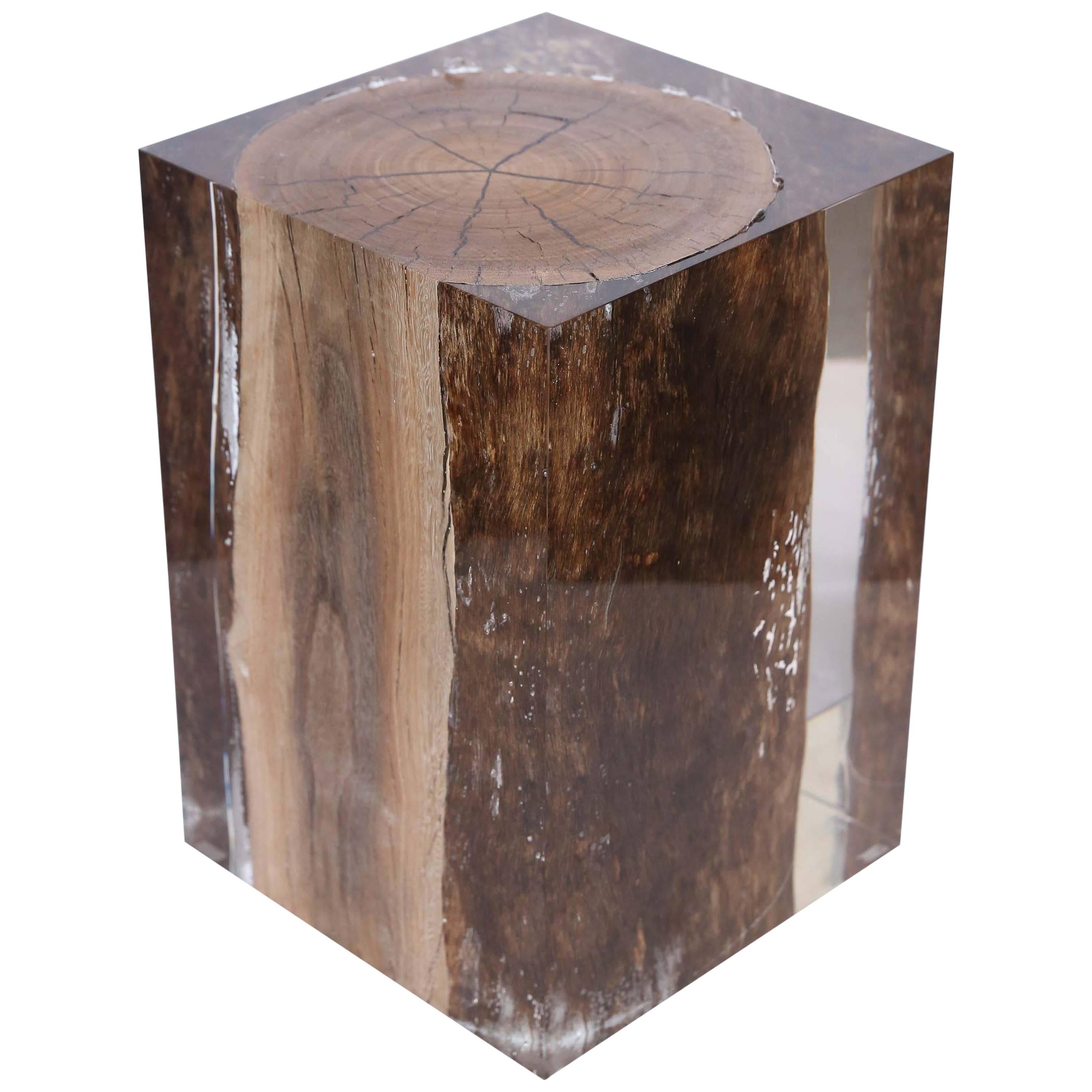 Acrylic Glass Nilleq Driftwood Side Table and Stool