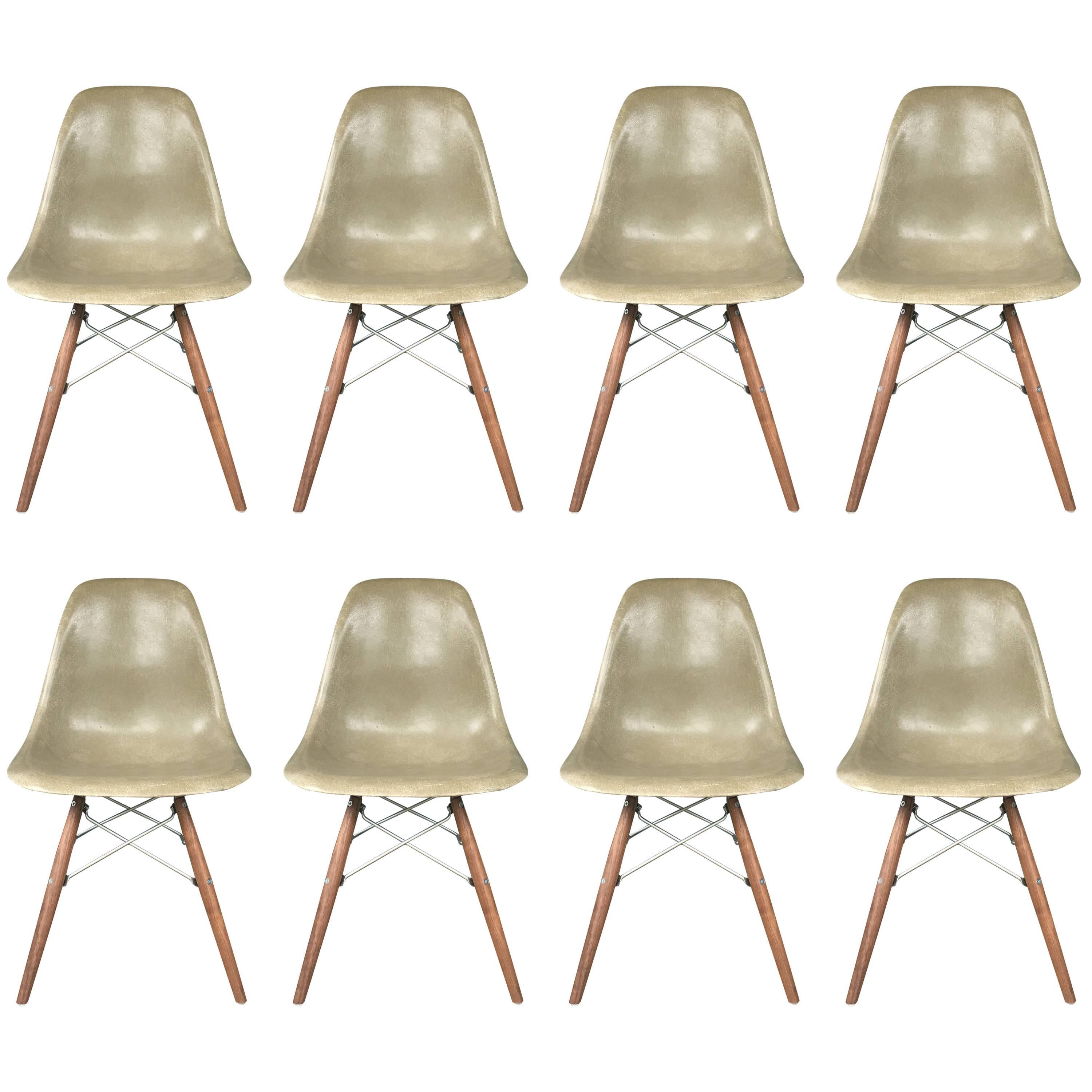 Eight Herman Miller Eames Dining Chairs in Raw Umber