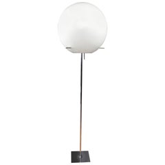 Vintage Paul Mayen for Habitat Chrome Floor Lamp with Globe Shade