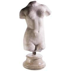 "Venus" Plaster and Lacquered Wood Sculpture of Female Torso