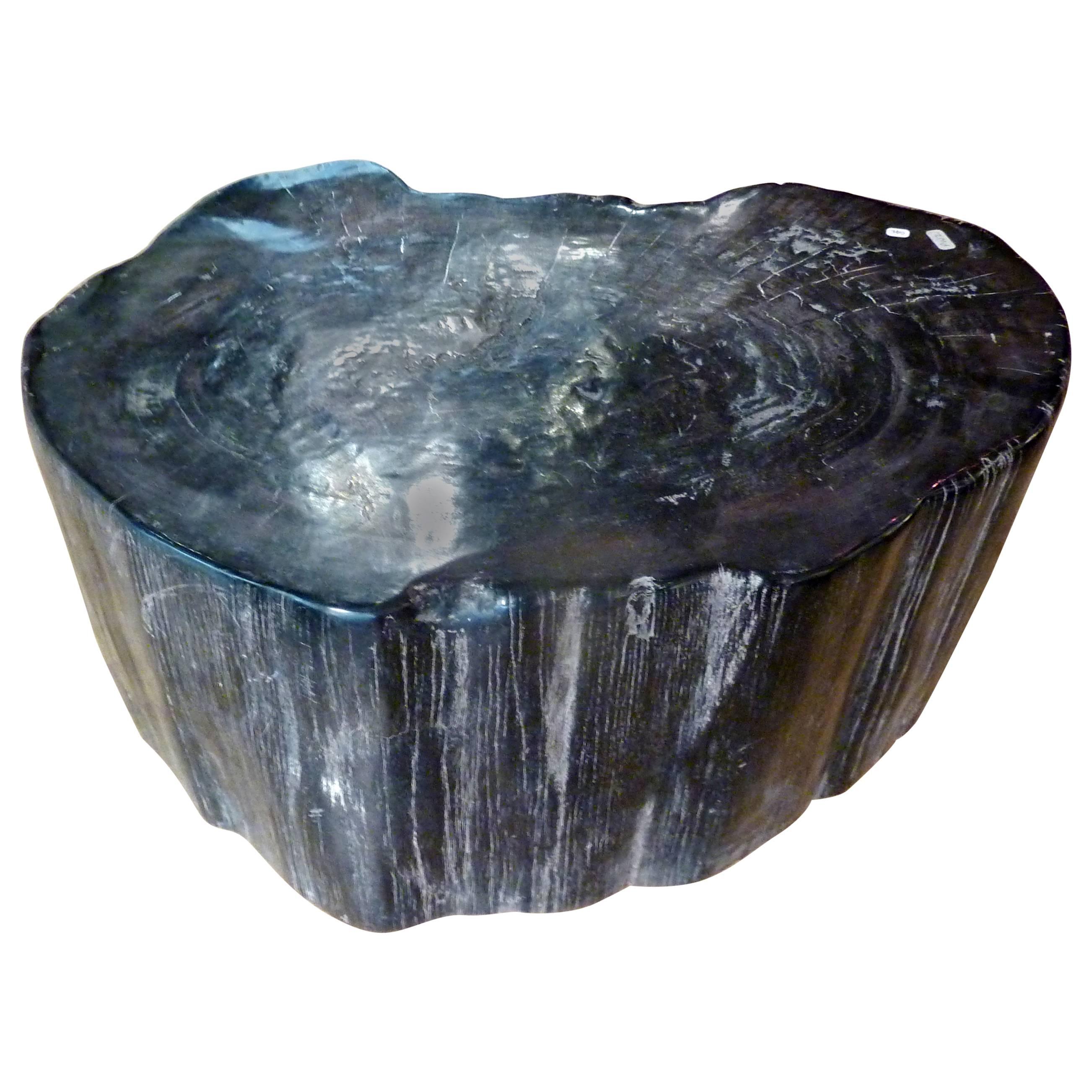 Petrified Wood Table or Seat
