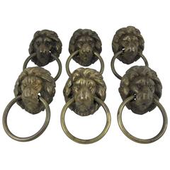Antique Late 19th Century English Brass Lion Head Hardware Ring Pulls, Set of 6
