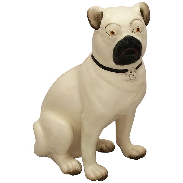 Staffy pug best sale