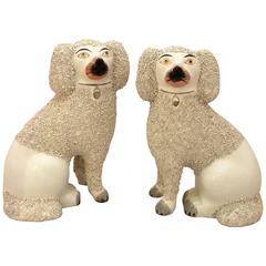 Antique Pair of Large 19th Century Staffordshire Poodles from England
