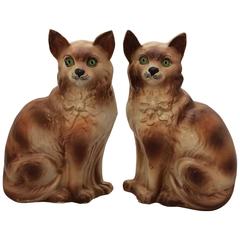Pair of Scottish Bo'ness Cats with Glass Eyes 2