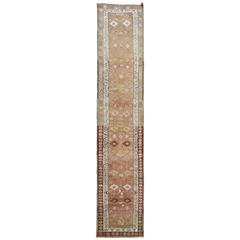 Turkish Anatolian Runner 5
