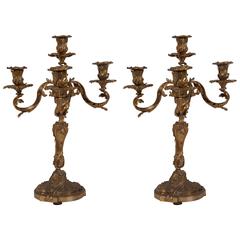 Pair of French Bronze Candelabra, Late 19th Century