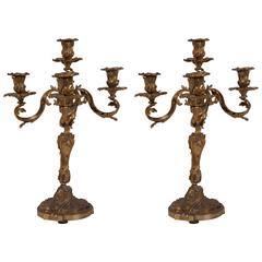 Pair of French Bronze Candelabra, Late 19th Century 9