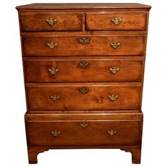 Antique Attractive George II Oak Chest on Stool with Walnut Cross-Banding
