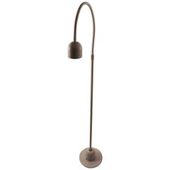 Italian Gooseneck Floor High Intensity Floor Lamp