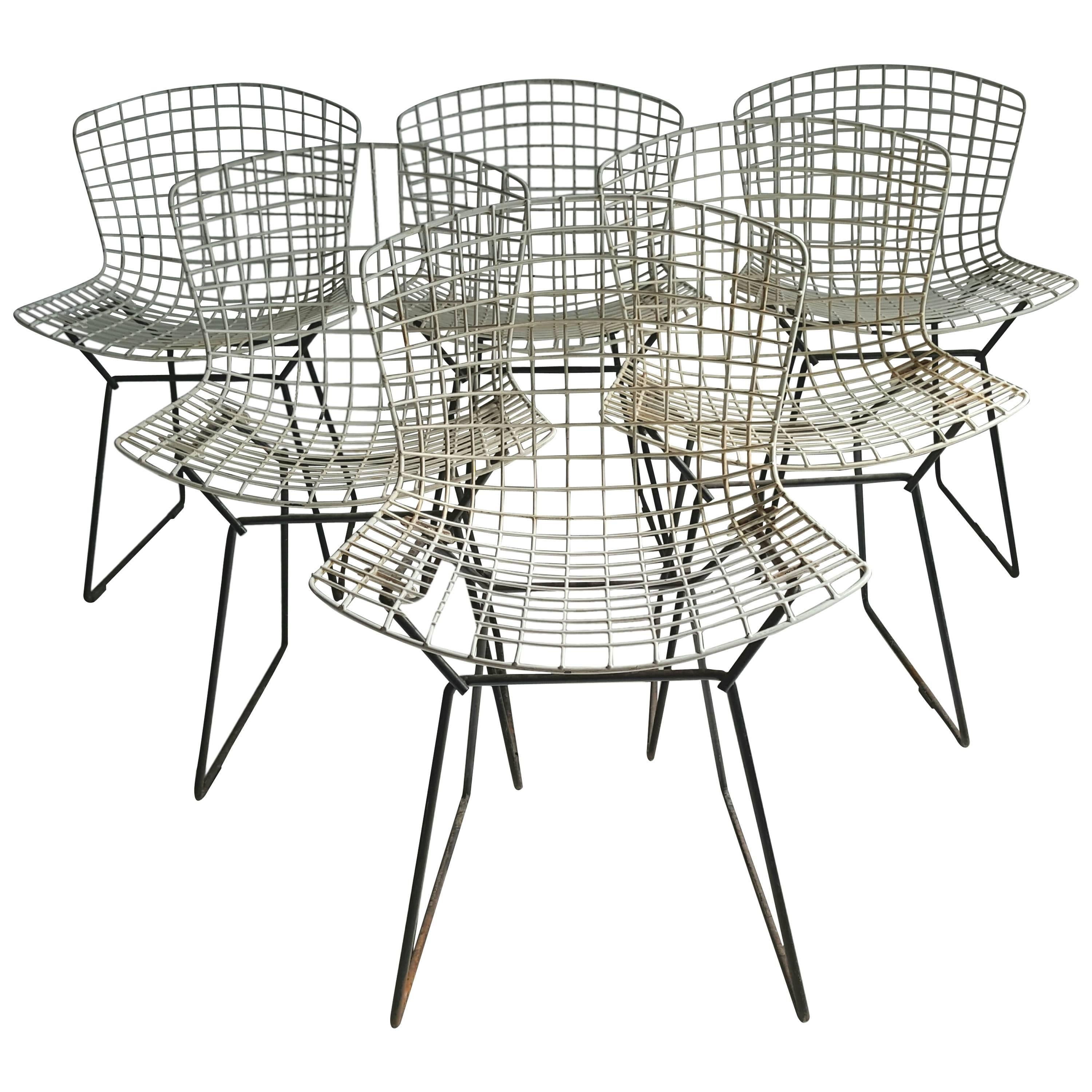 Classic Modernist Wire Bertoia Six Side Chairs Harry Bertoia for Knoll