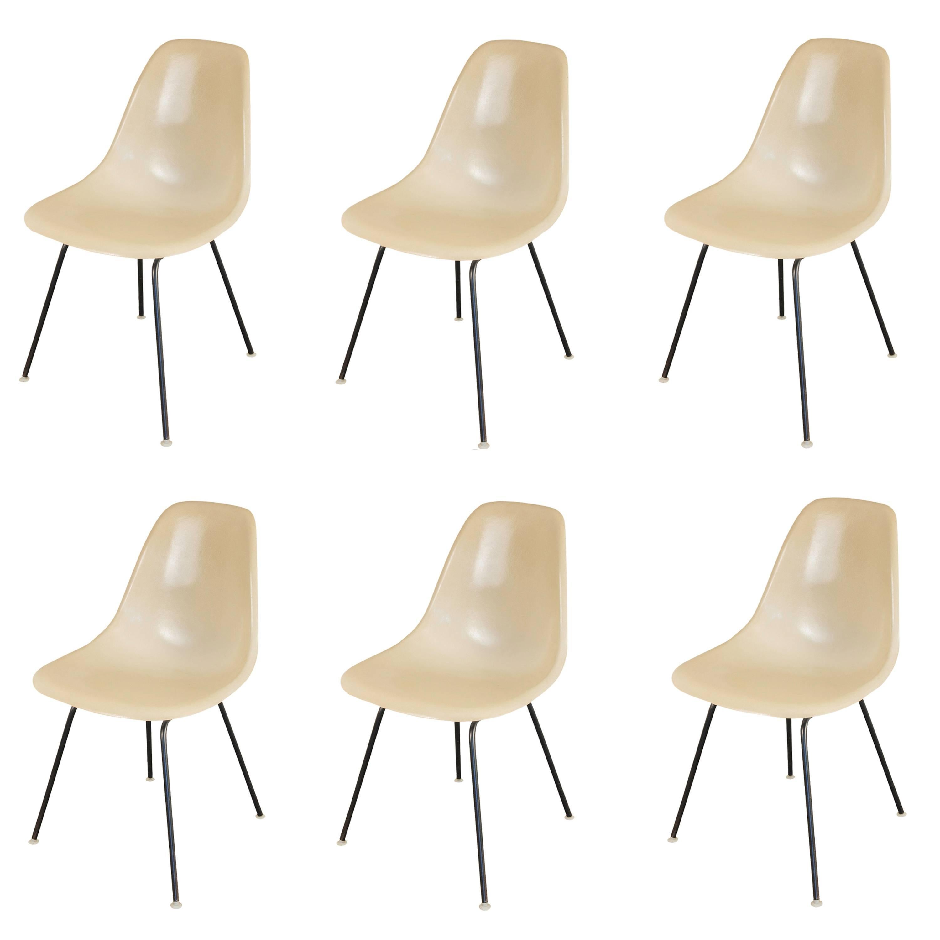 Six Parchment Shell Chairs by Charles and Ray Eames