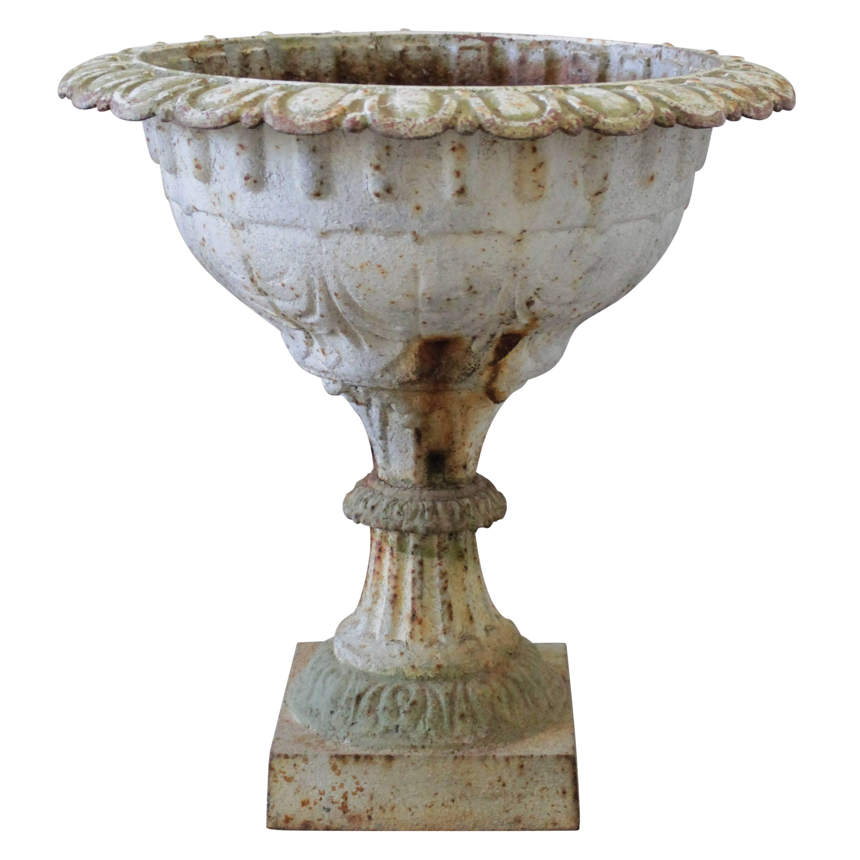 19th Century French Scalloped Rim Urn