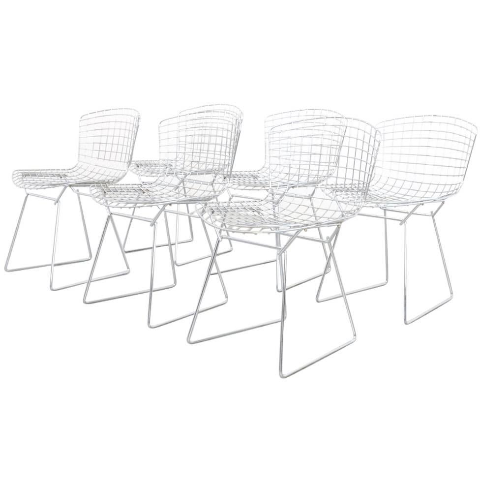 Set of Six Wire Chairs by Harry Bertoia for Knoll International De Coene