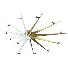 Nautilus Star Chandelier by Jason Koharik for Collected By