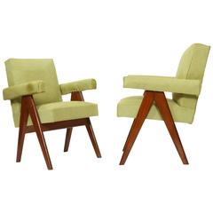 Set of Two "Senate-Committee Chairs" Kiwy