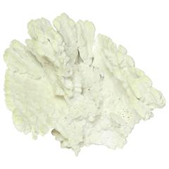 Coral Sculpture 3