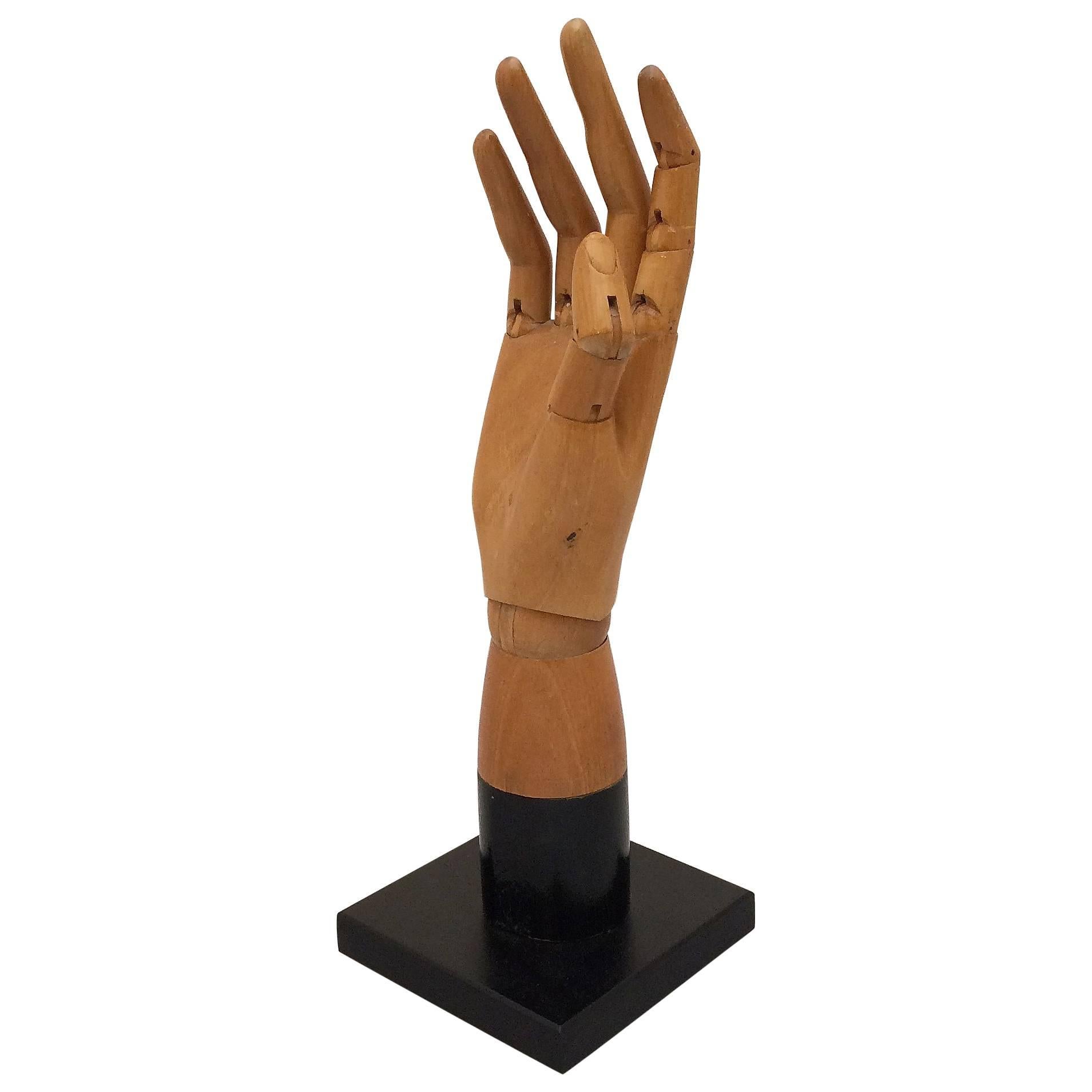 Articulated Model of Hand from England