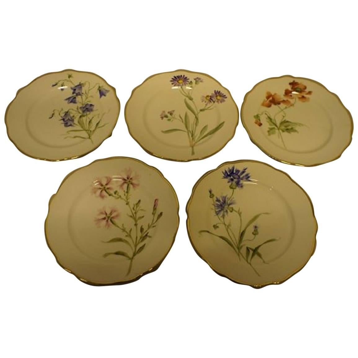 11 Rörstrand Art Nouveau Plates, Hand-Painted, Different Flowers