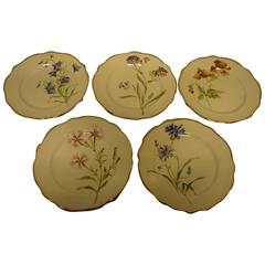 11 Rörstrand Art Nouveau Plates, Hand-Painted, Different Flowers 11
