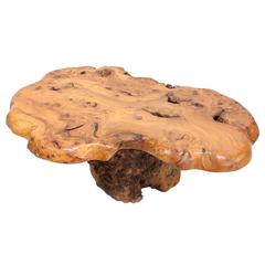 Burl High Gloss Coffee Table