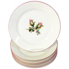 Assiettes à salade/dessert Haviland Limoges "Moss Rose" S/6