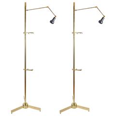 Curious Pair of Floor Lamps - Painting Holder