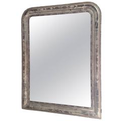 French Charles X Silver Leaf Mirror, Circa 1830 1