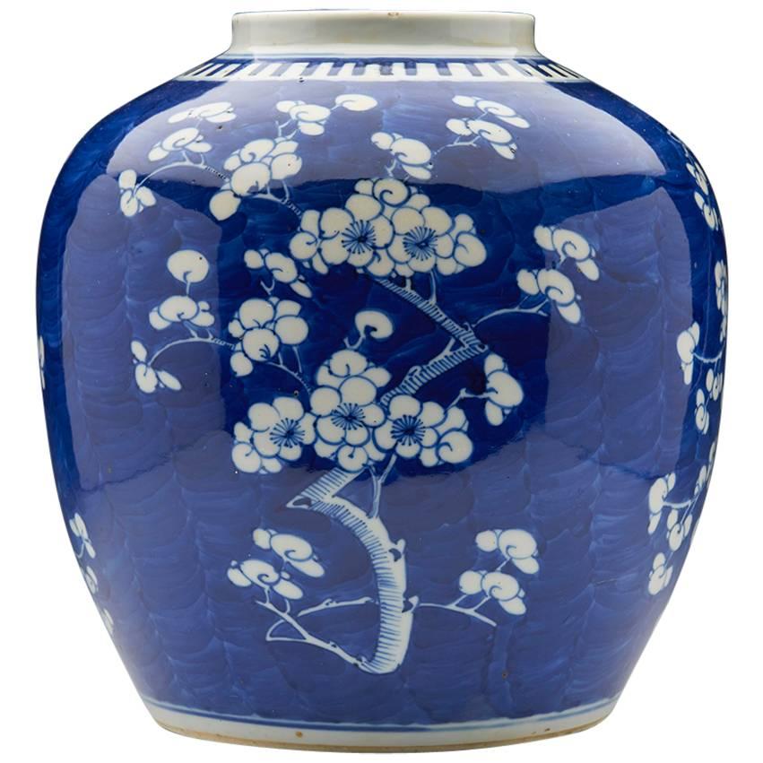 Large Antique Chinese Kangxi Mark Blue & White Porcelain Hawthorn Jar, 19th C