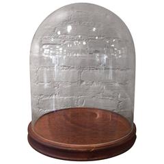 Glass Display Dome Cloche with Walnut Base 12