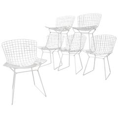 Harry Bertoia for Knoll Chairs in White