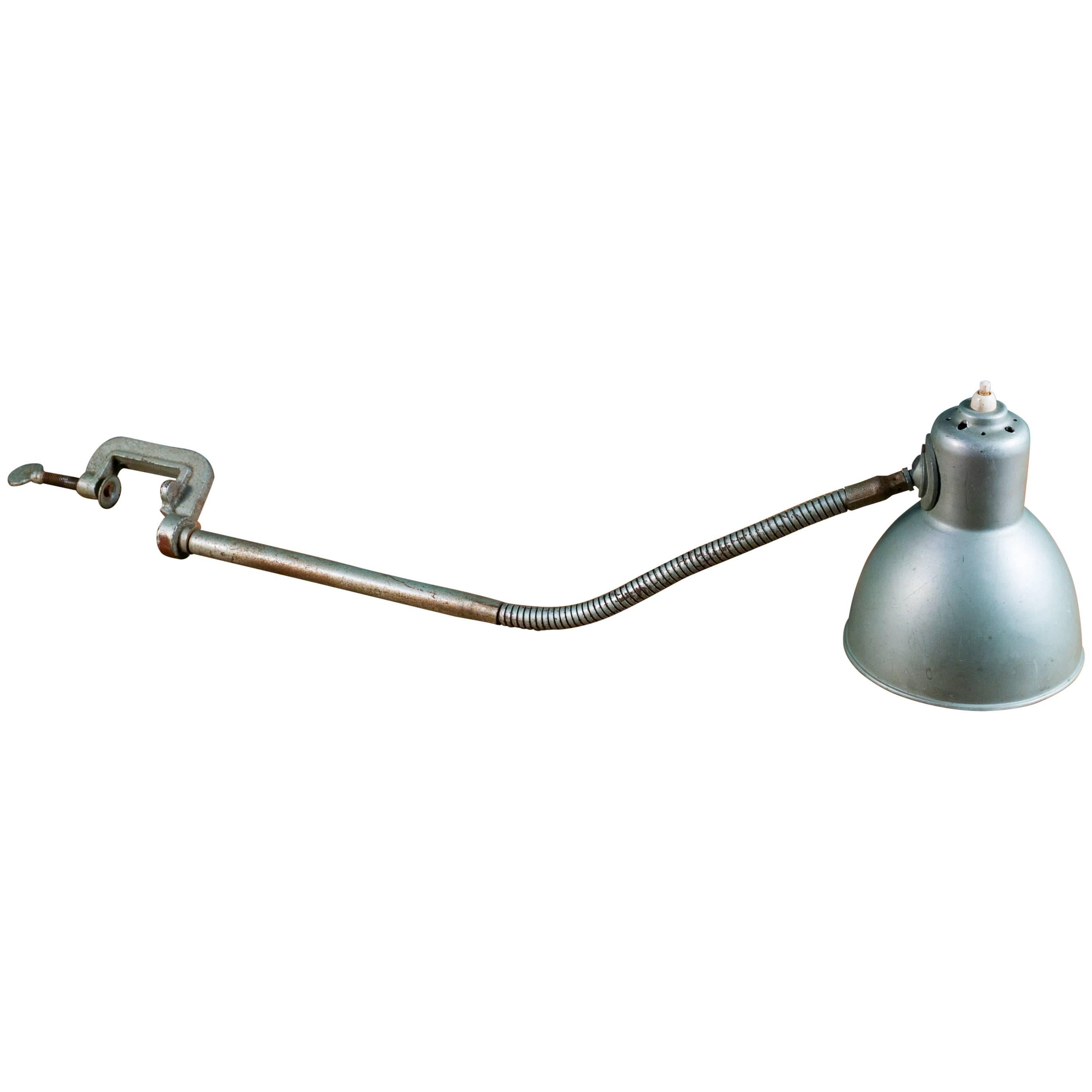 Erpe Industrial Lamp with Flexible Neck
