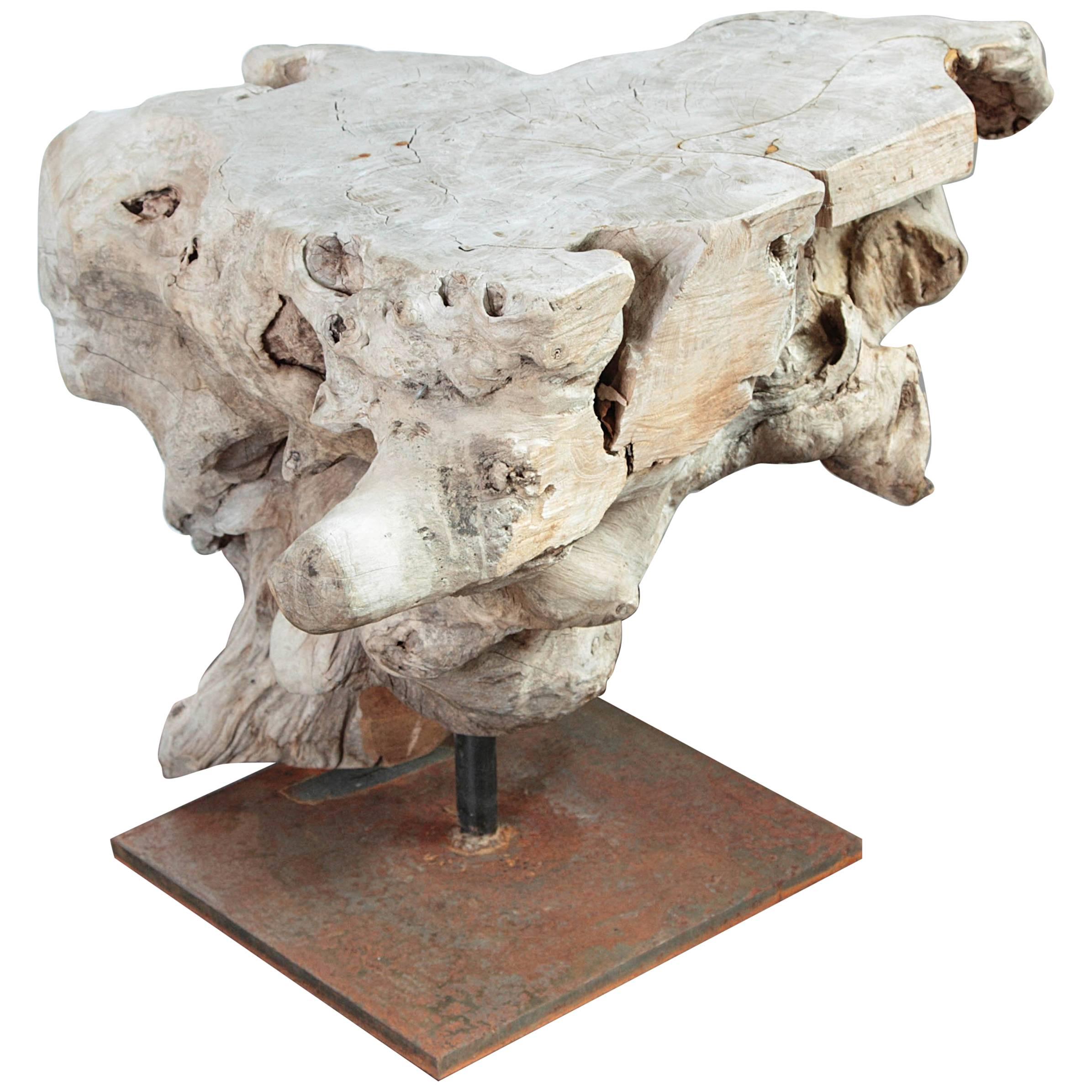 Organic form teak end table
Organic bleached teak end table and mounted on a custom steel base
Can be used as an end table, side table or decorative organic sculpture.
Indoor or outdoor.
Teak is a weather and bug resistant hard wood.
