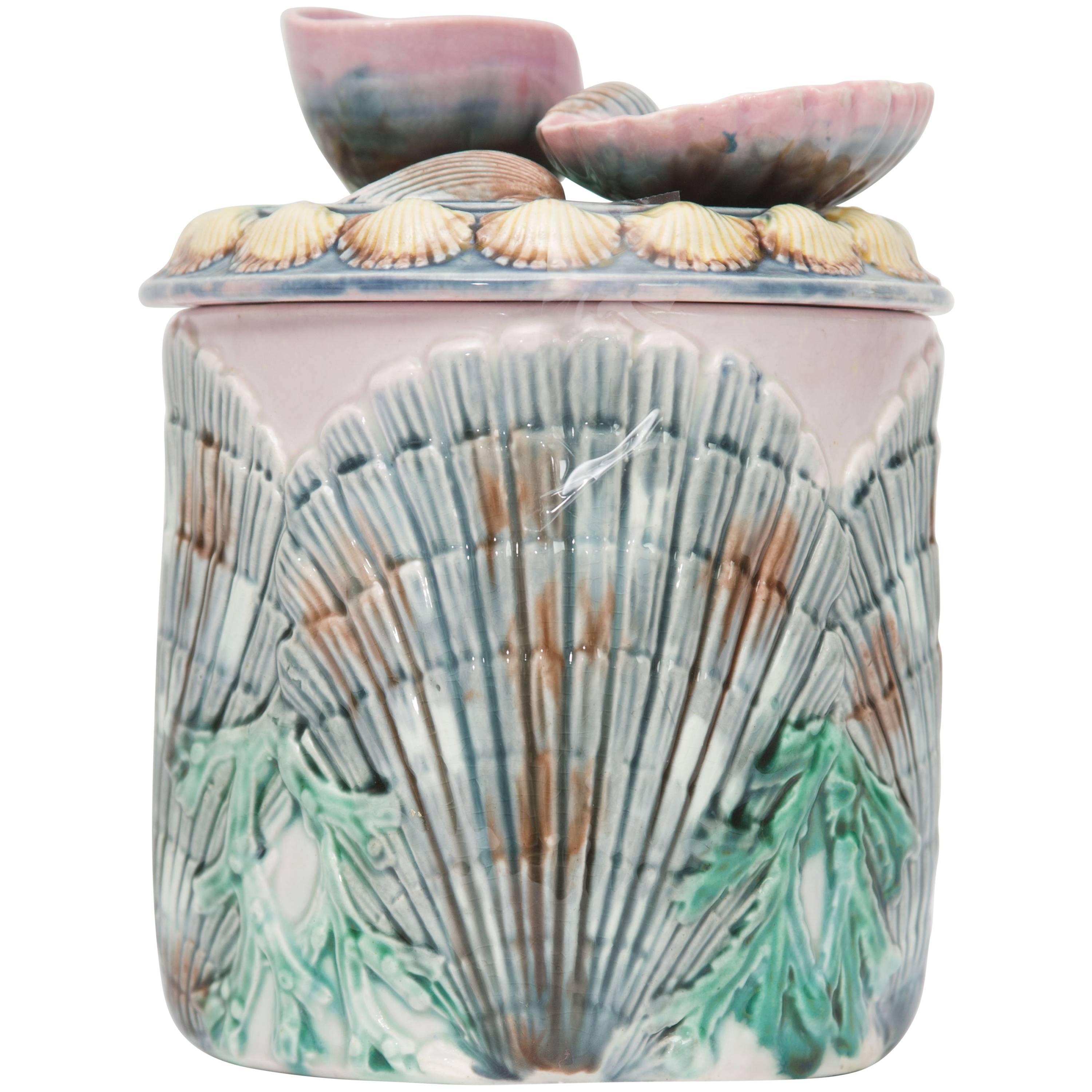 19th Century Shell and Seaweed Etruscan Majolica Lidded Jar For Sale