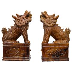Pair of Chinese Umber Glazed Porcelain Foo Lions 11