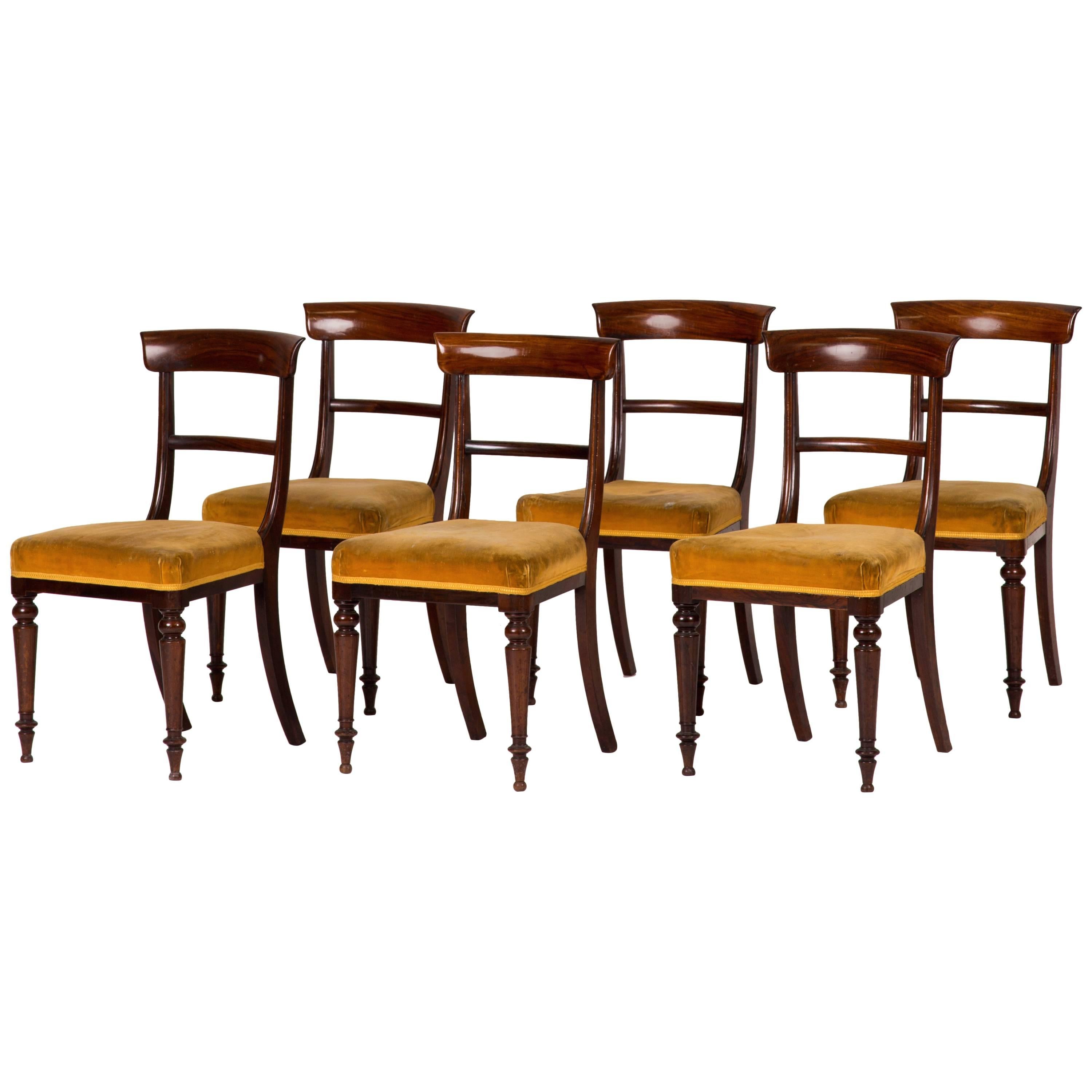 Dining Chairs