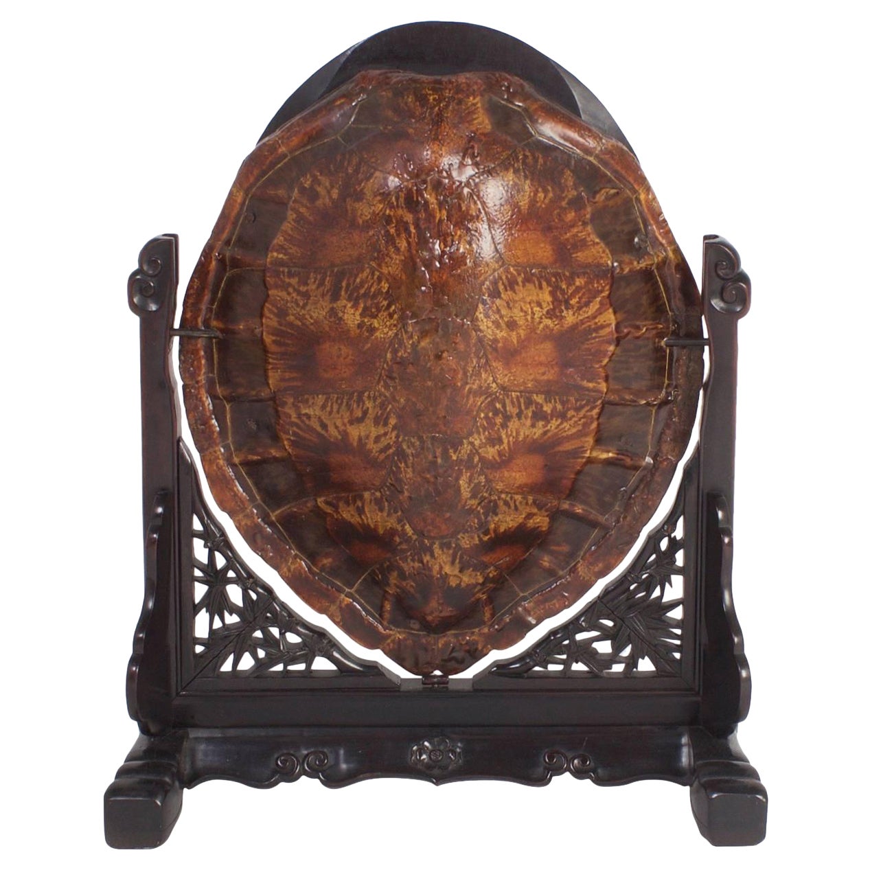Miroir de courtoisie en écaille de tortue chinois antique du 19e siècle