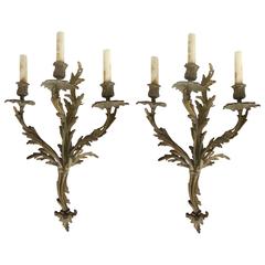 19th Century European Bronze Sconces, Pair