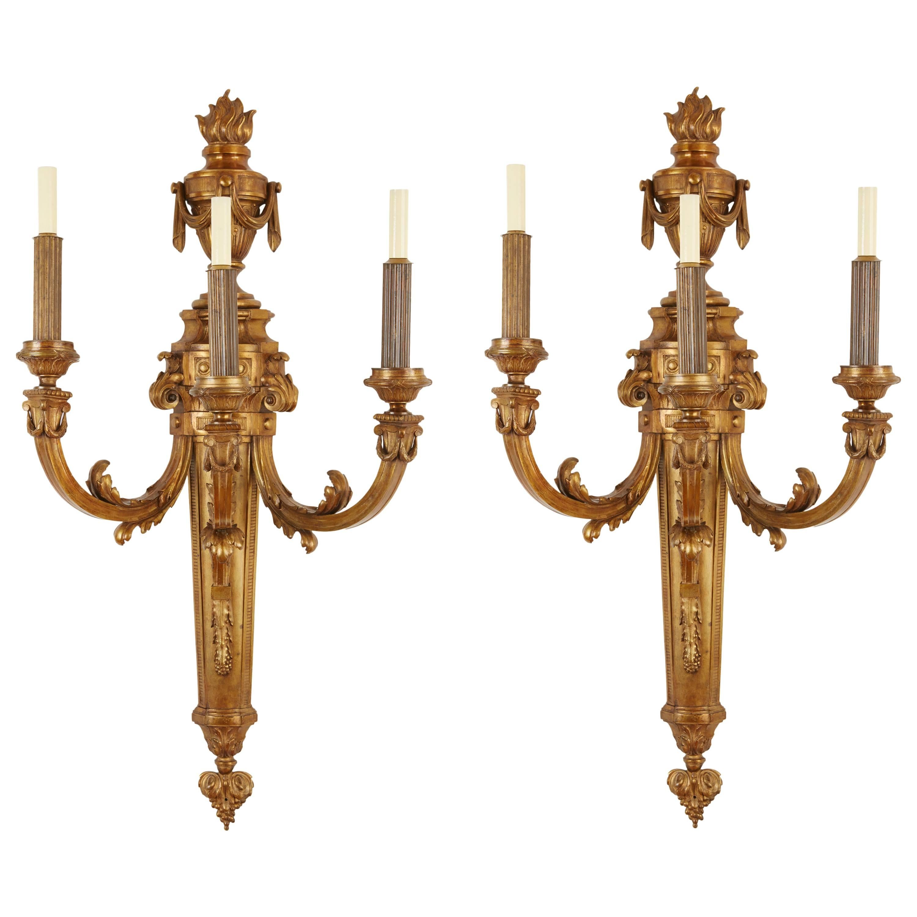 Extremely Large Pair of Louis XVI Style Three-Branch Ormolu Wall Lights For Sale