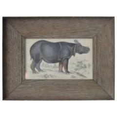 Original Antique Print of a Rhinoceros, 1847