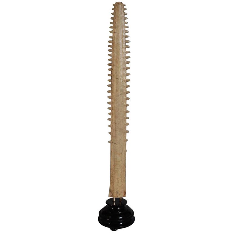 20th Century Sawfish Rostrum on Stand For Sale at 1stDibs
