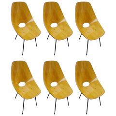 Set of five Medea Chairs by Vittorio Nobili