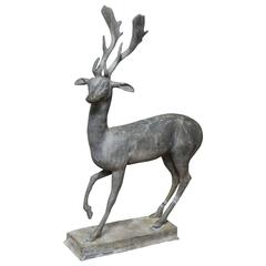 Enchanted Stag 8