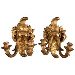 18th Century Giltwood Rocaille Sconces