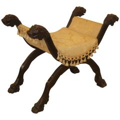 19th Century Lion Head X Bench 6
