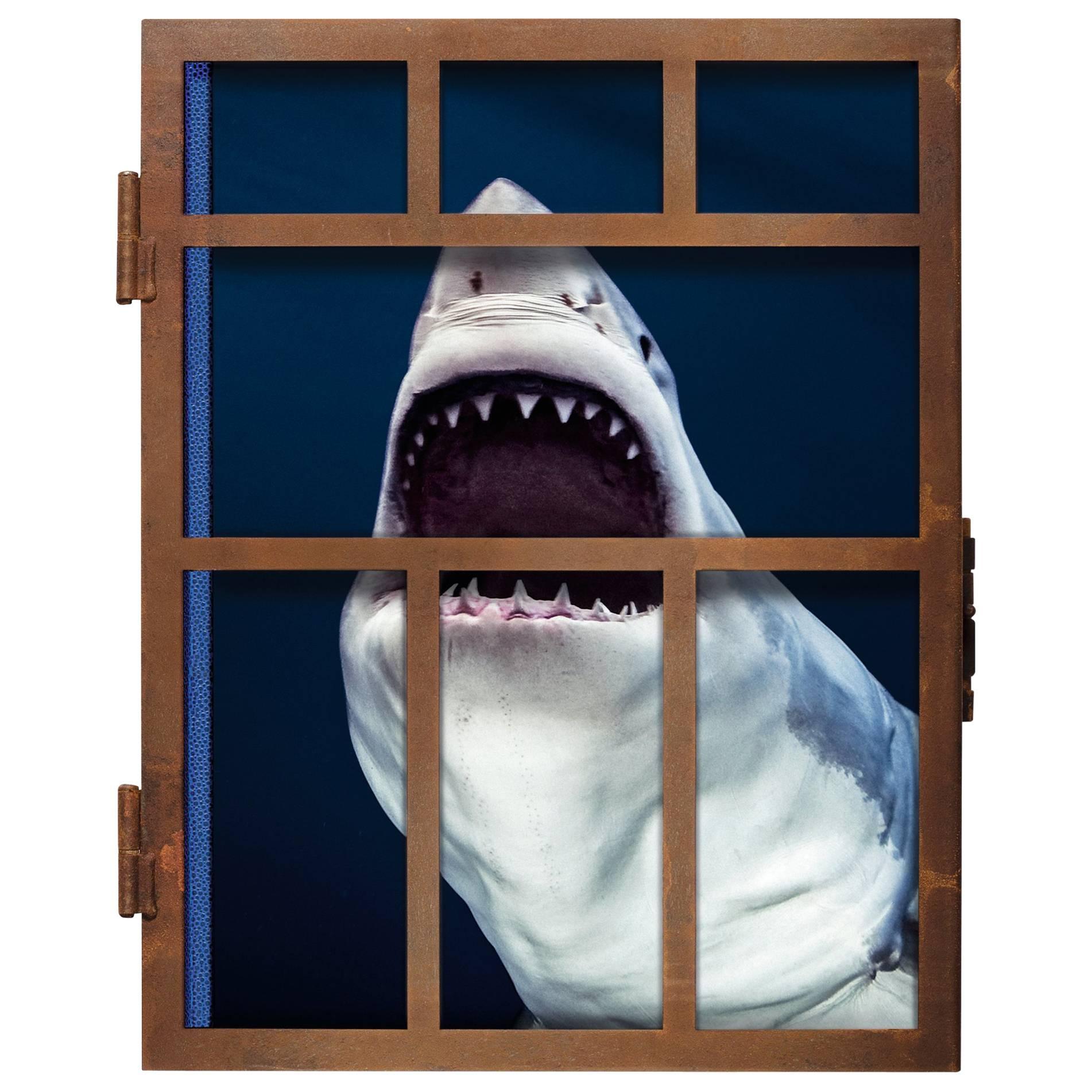 Michael Muller, Sharks, Limited Edition Signed Photography Book. In Metal Cage For Sale