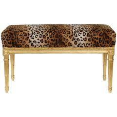 Louis XVI Style Giltwood Bench 9