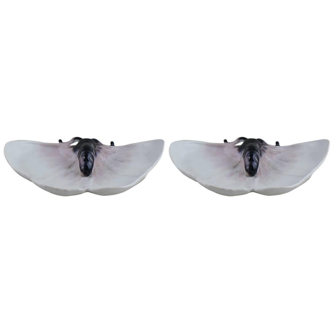 Pair of Art Nouveau Rörstrand Dishes with an Insect For Sale